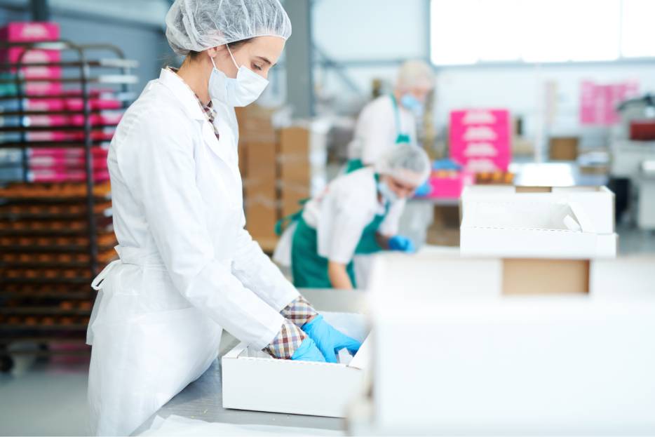 Invertir en maquinaria de cartón hoy significa innovación, ahorro energético y liderazgo en la transición hacia la industria verde.