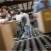 Proteger el know-how en diseño de cajas industriales permite resguardar información clave, optimizar recursos y sostener la innovación en empaques.